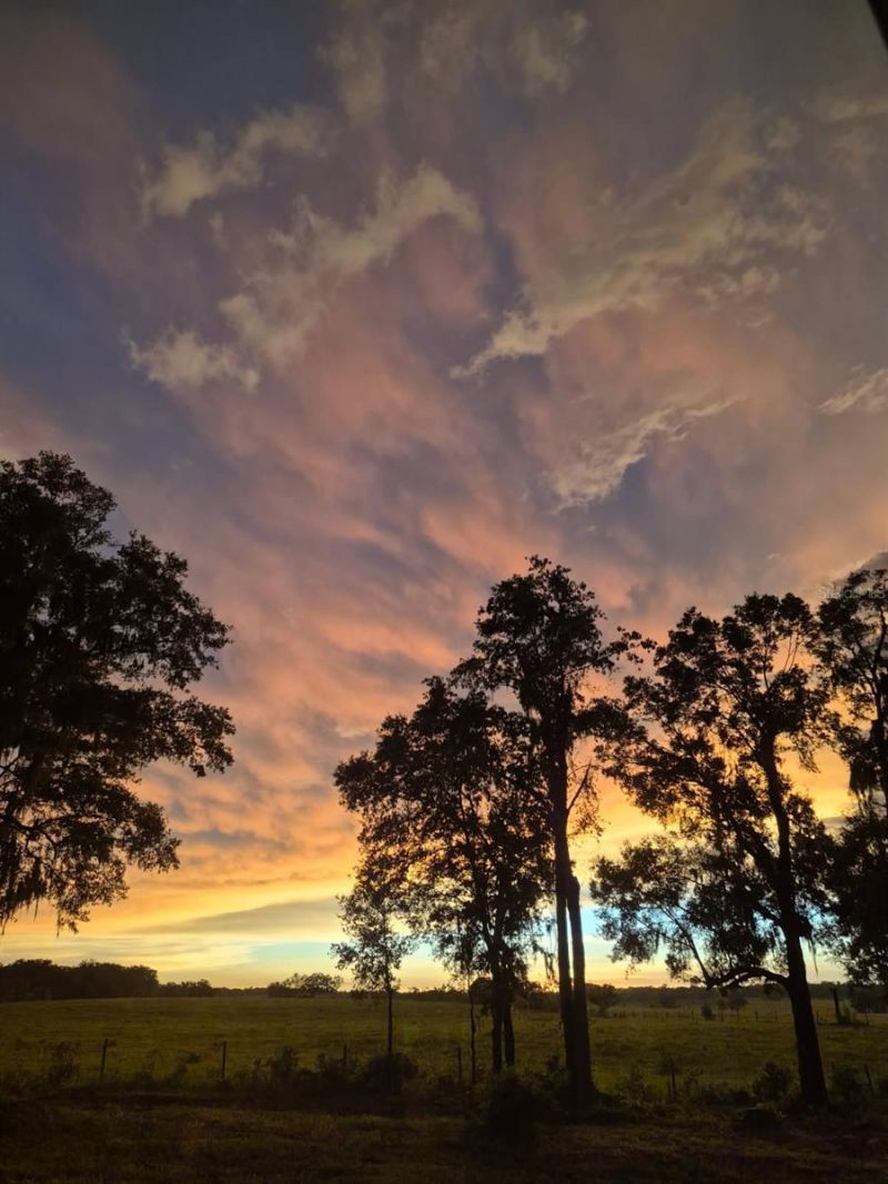 10264 S Lecanto Highway , Lecanto, FL 34461 Photo