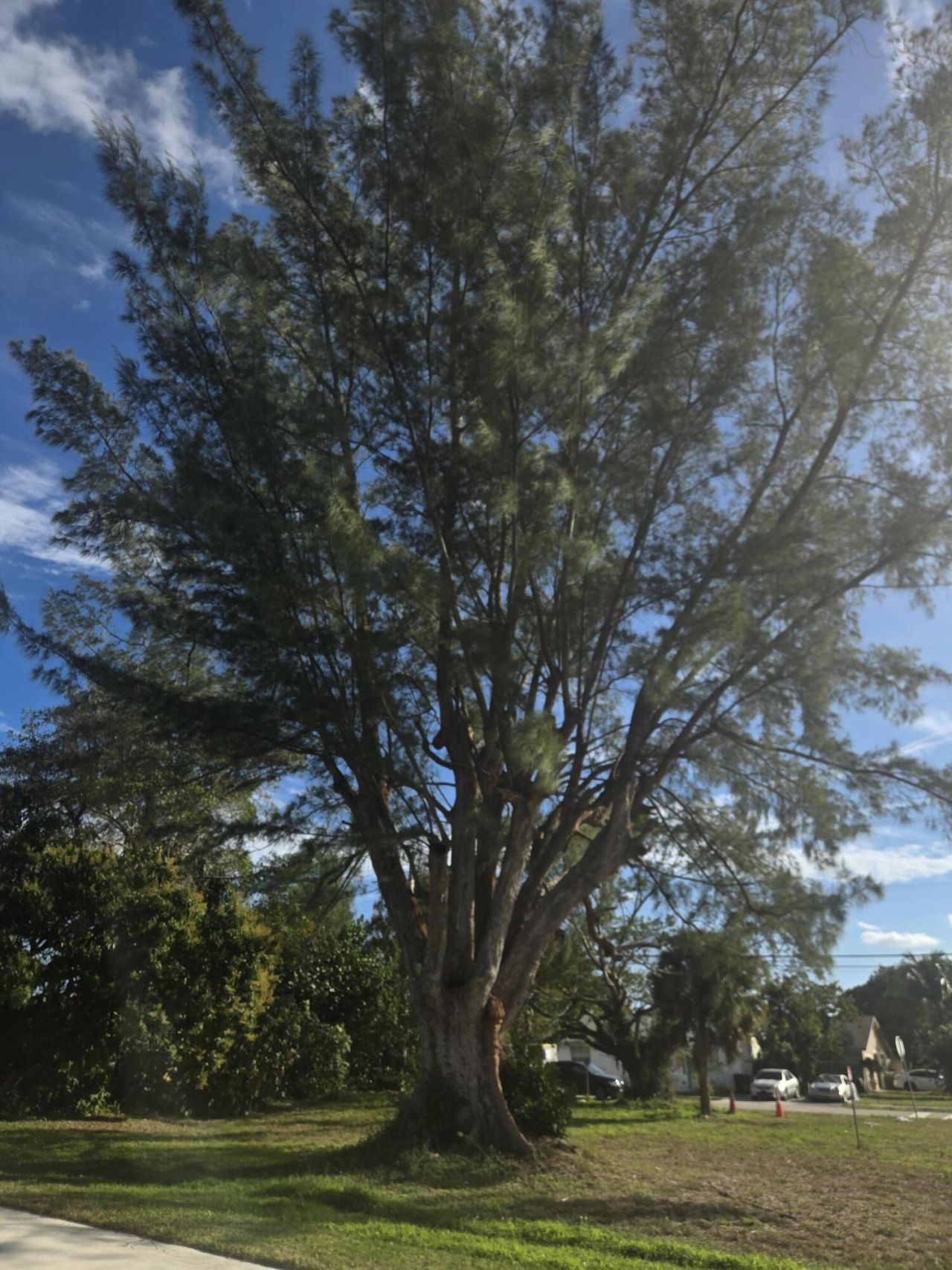 309 NW 6th Avenue, Delray Beach, FL 33444 Photo