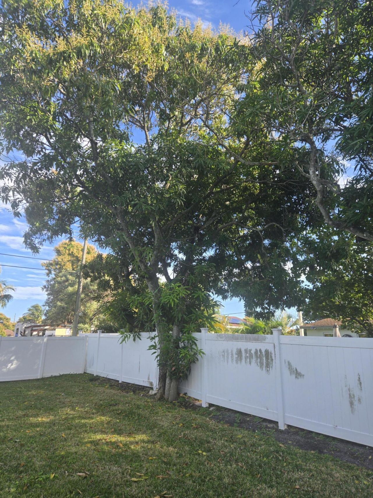 309 NW 6th Avenue, Delray Beach, FL 33444 Photo