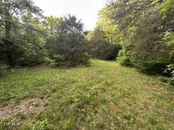 000 Carlos Road, Sneedville, TN 37869