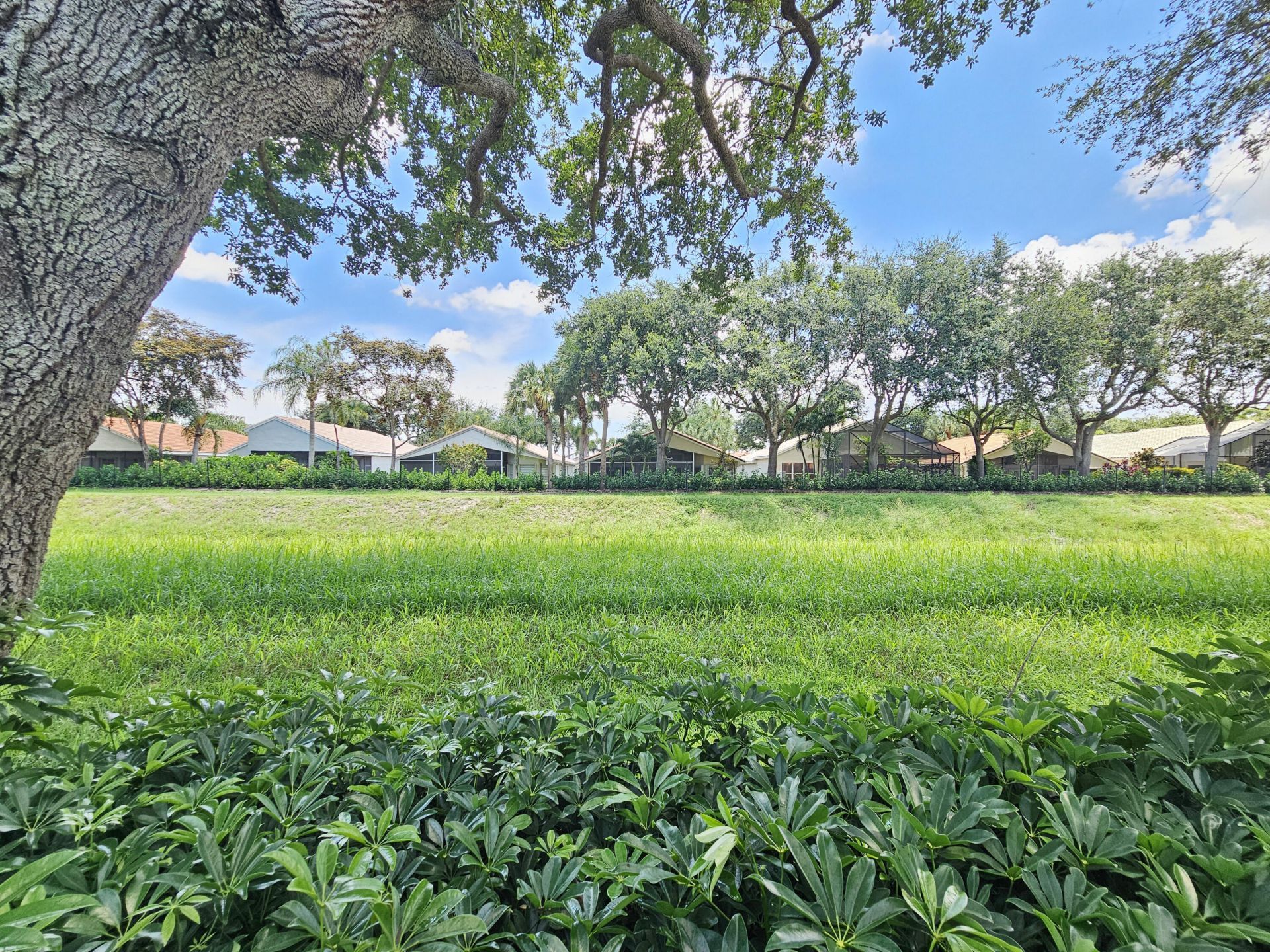 7245 Whitfield Avenue, Boynton Beach, FL 33437 Photo