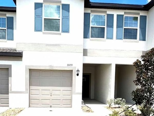 32235 POWDERPUFF MIMOSA DRIVE, SAN ANTONIO, FL 33576