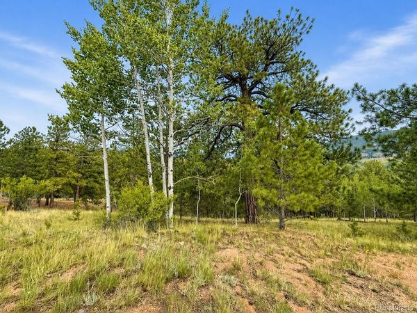 88 May Queen Way , Cripple Creek, CO 80813