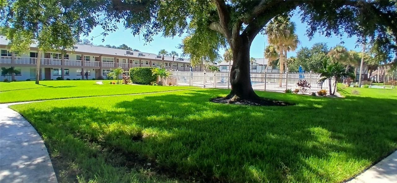 650 Pinellas Point Drive S, Unit 110, Saint Petersburg, FL 33705 Photo