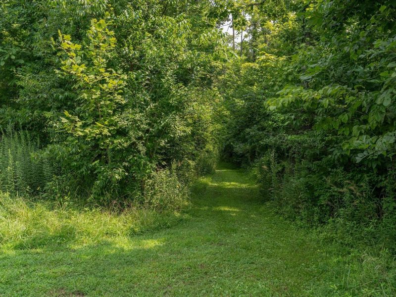 833 S State Route 72 , Sabina, OH 45169 Photo 38