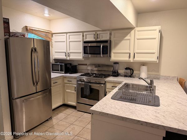814 W Bleeker Street, Unit B3, Aspen, CO 81611