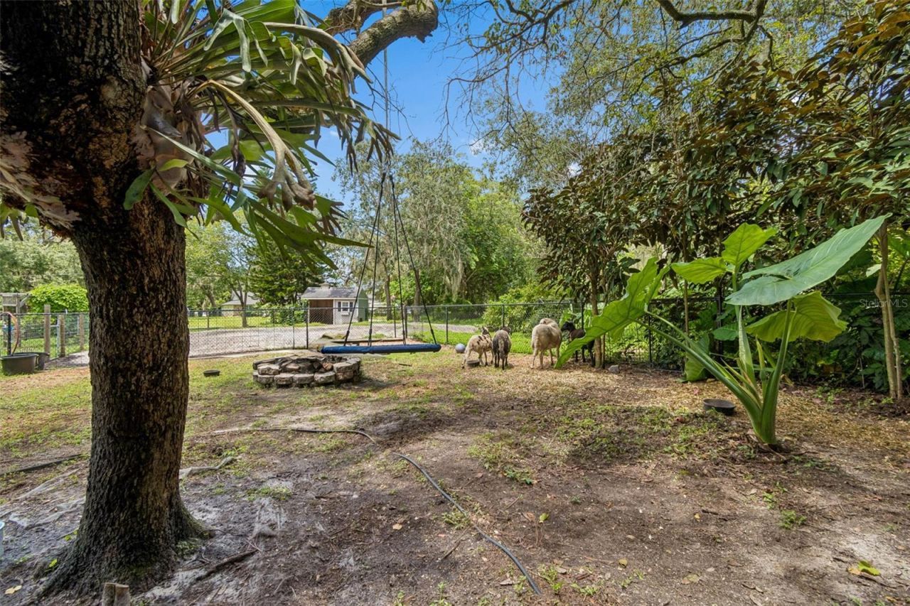 6568 Millstone Drive , New Port Richey, FL 34655 Photo