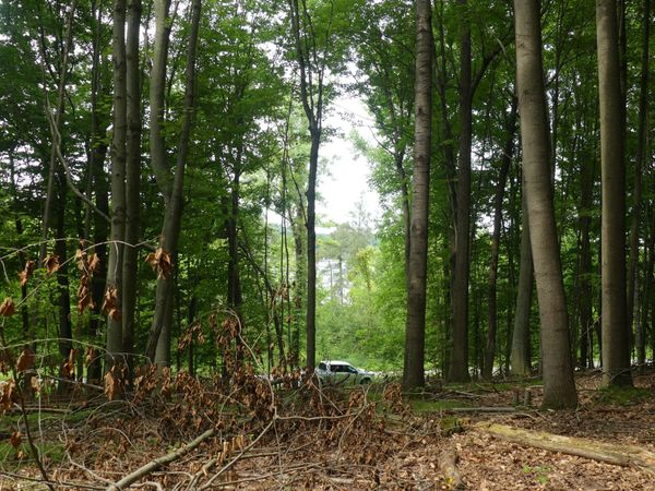 9310 S Benjamin Drive, Newaygo, MI 49337