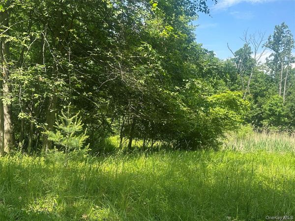 346 Oak Ridge Road , Ellenville, NY 12428