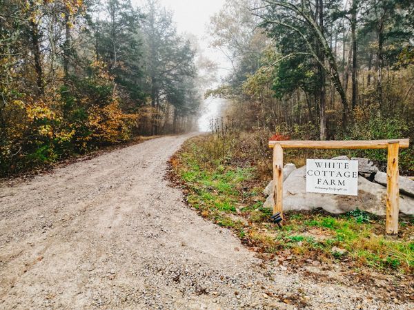 2100 Hill Station Rd , Columbia, TN 38401