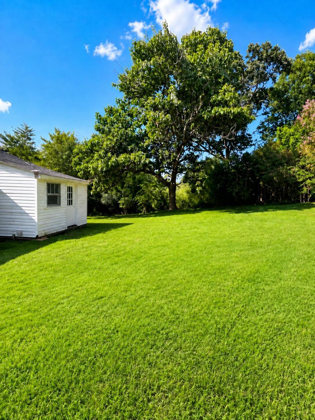 102 Gilbert Drive Photo 16