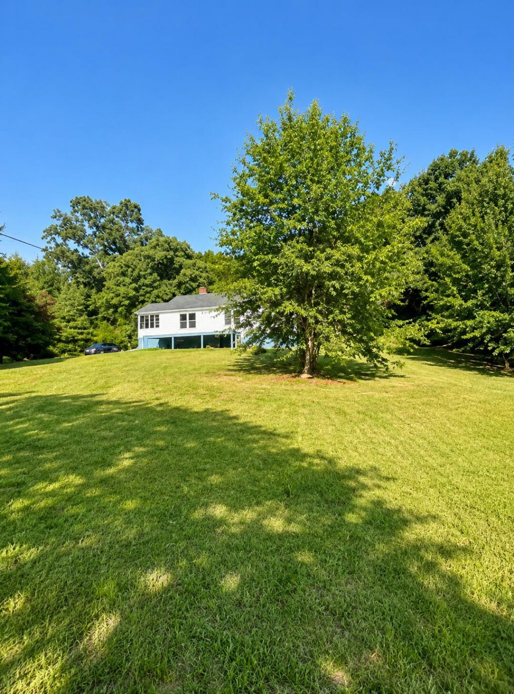 102 Gilbert Drive Photo 17