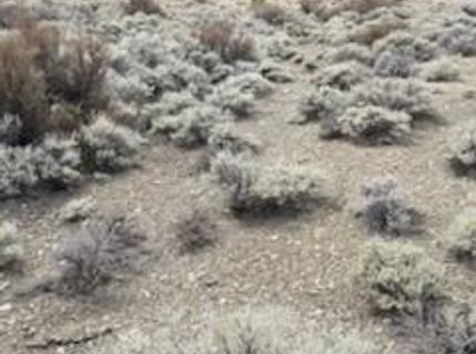 301 Adams Ranch Road, Lot #38, Genoa, NV 89411 Photo