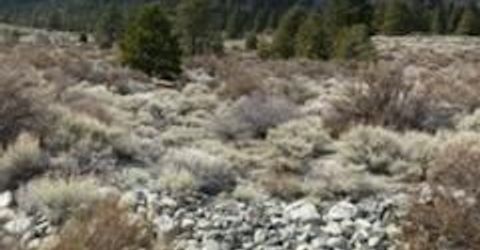 301 Adams Ranch Road, Lot #38, Genoa, NV 89411 Photo