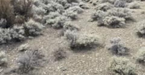 301 Adams Ranch Road, Lot #38, Genoa, NV 89411 Photo