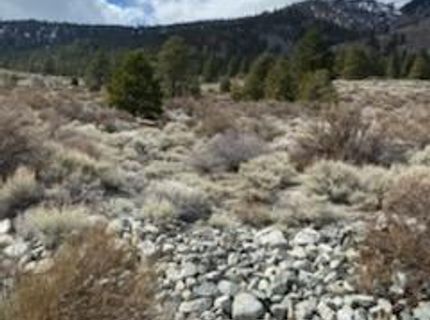 301 Adams Ranch Road, Lot #38, Genoa, NV 89411 Photo