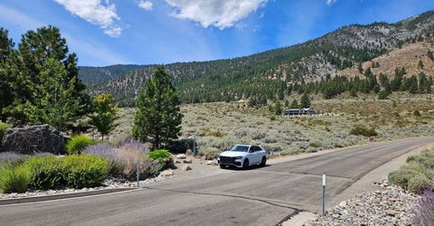 301 Adams Ranch Road, Lot #38, Genoa, NV 89411 Photo