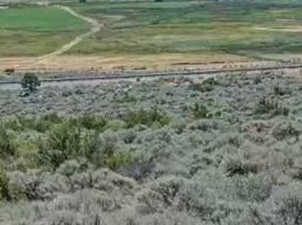 301 Adams Ranch Road, Lot #38, Genoa, NV 89411 Photo