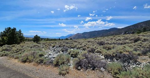 301 Adams Ranch Road, Lot #38, Genoa, NV 89411 Photo