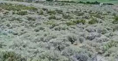 301 Adams Ranch Road, Lot #38, Genoa, NV 89411 Photo