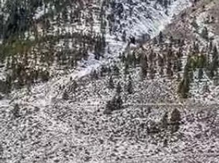 301 Adams Ranch Road, Lot #38, Genoa, NV 89411 Photo