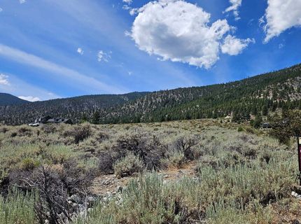 301 Adams Ranch Road, Lot #38, Genoa, NV 89411 Photo