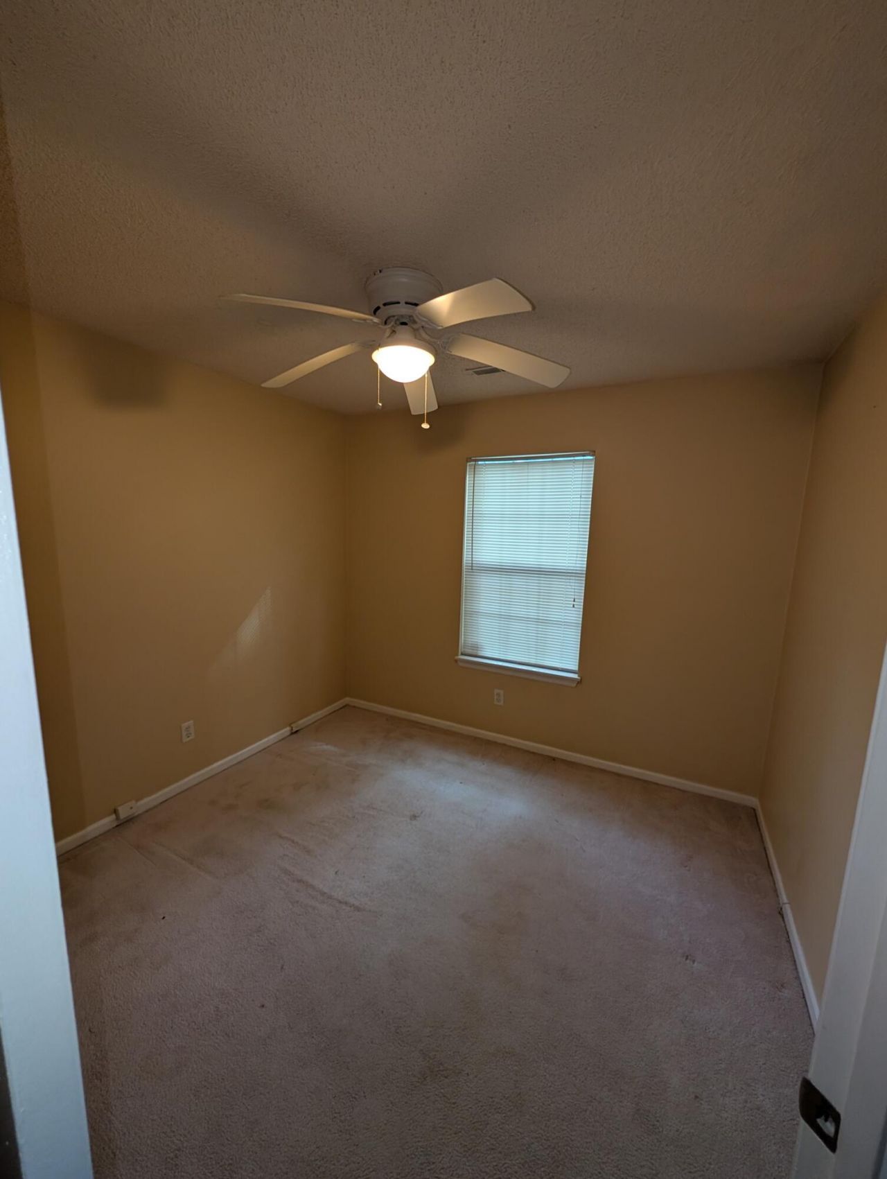 122 Beverly Drive Photo 10