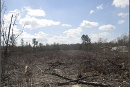 000 Webbs Pond Rd  photo 4