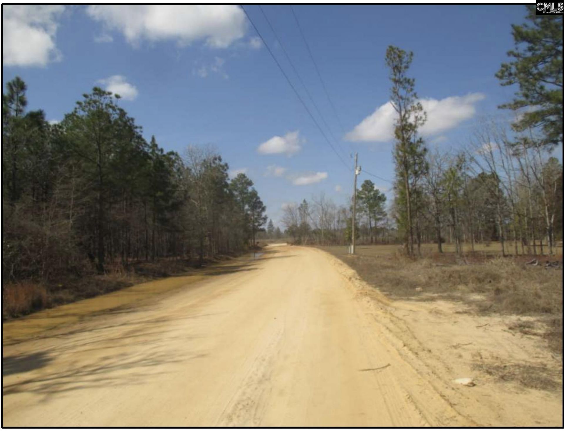 000 Webbs Pond Rd  Photo 4