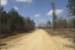 000 Webbs Pond Rd  photo 4