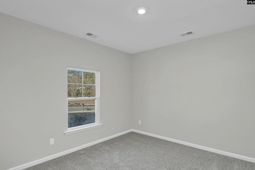 311 Raglins Way photo 4