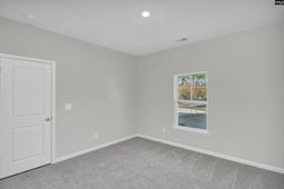 311 Raglins Way photo 4