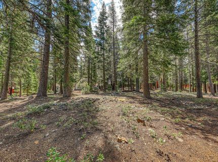 15753 Northwoods Boulevard, Truckee, CA 96161 Photo