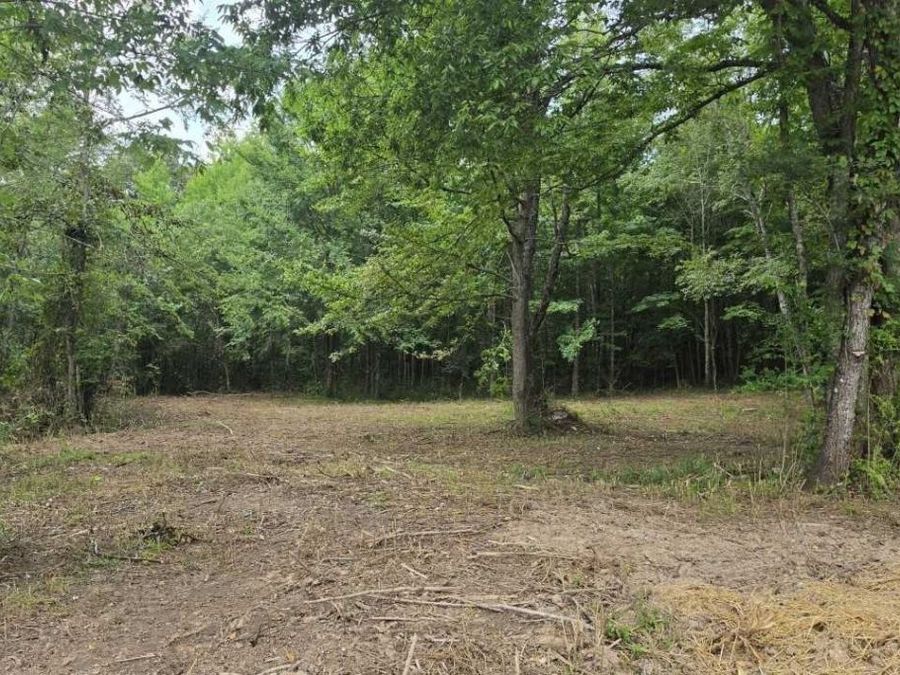 Property Image 4