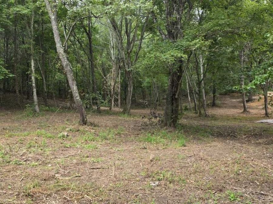 Property Image 8