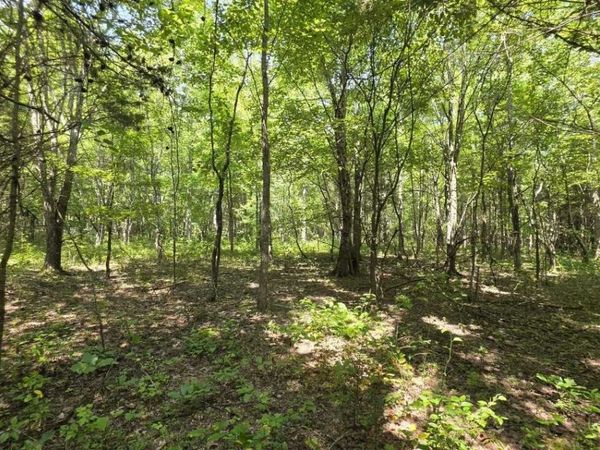 0 N Old Military Rd , Summertown, TN 38483