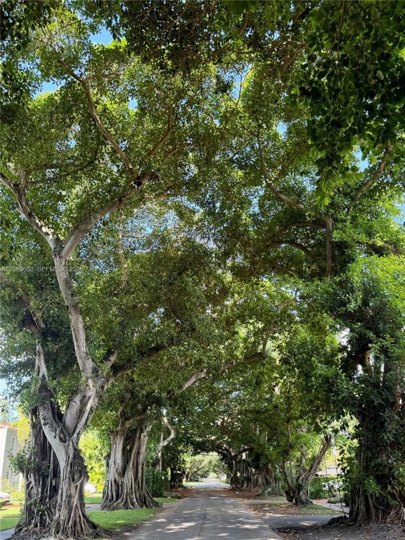 1125 Almeria Ave , Unit Cottage, Coral Gables, FL 33134 Photo