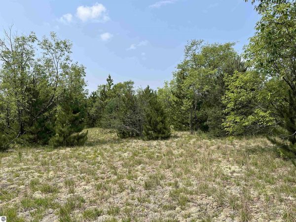 Westwood S, Mancelona, MI 49646