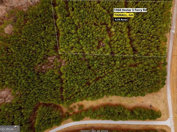 1068 Hesters Ferry Road, Tignall, GA 30668