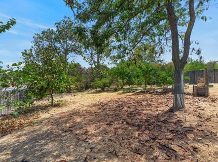4061 Zumi Ct, Ione, CA 95640 Photo