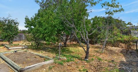 4061 Zumi Ct, Ione, CA 95640 Photo