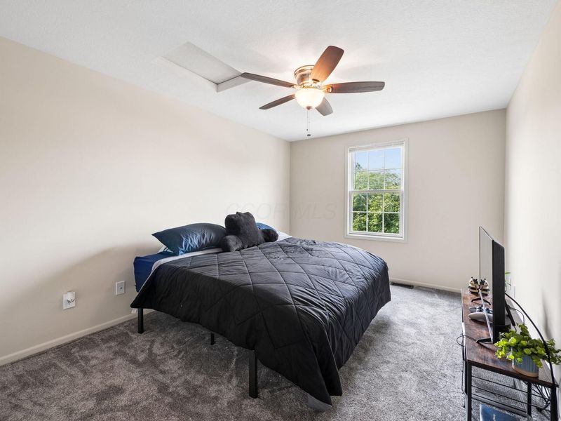 321 Amber Light Circle, Delaware, OH 43015 Photo 19