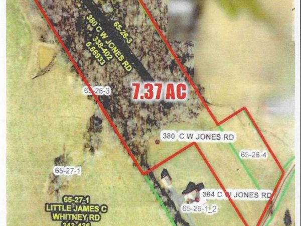 380 C W Jones Road Lot 3 & 4, Scottsville, KY 42164
