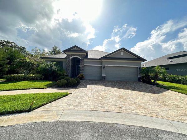 981 BEE BRANCH COURT , PALM HARBOR, FL 34683