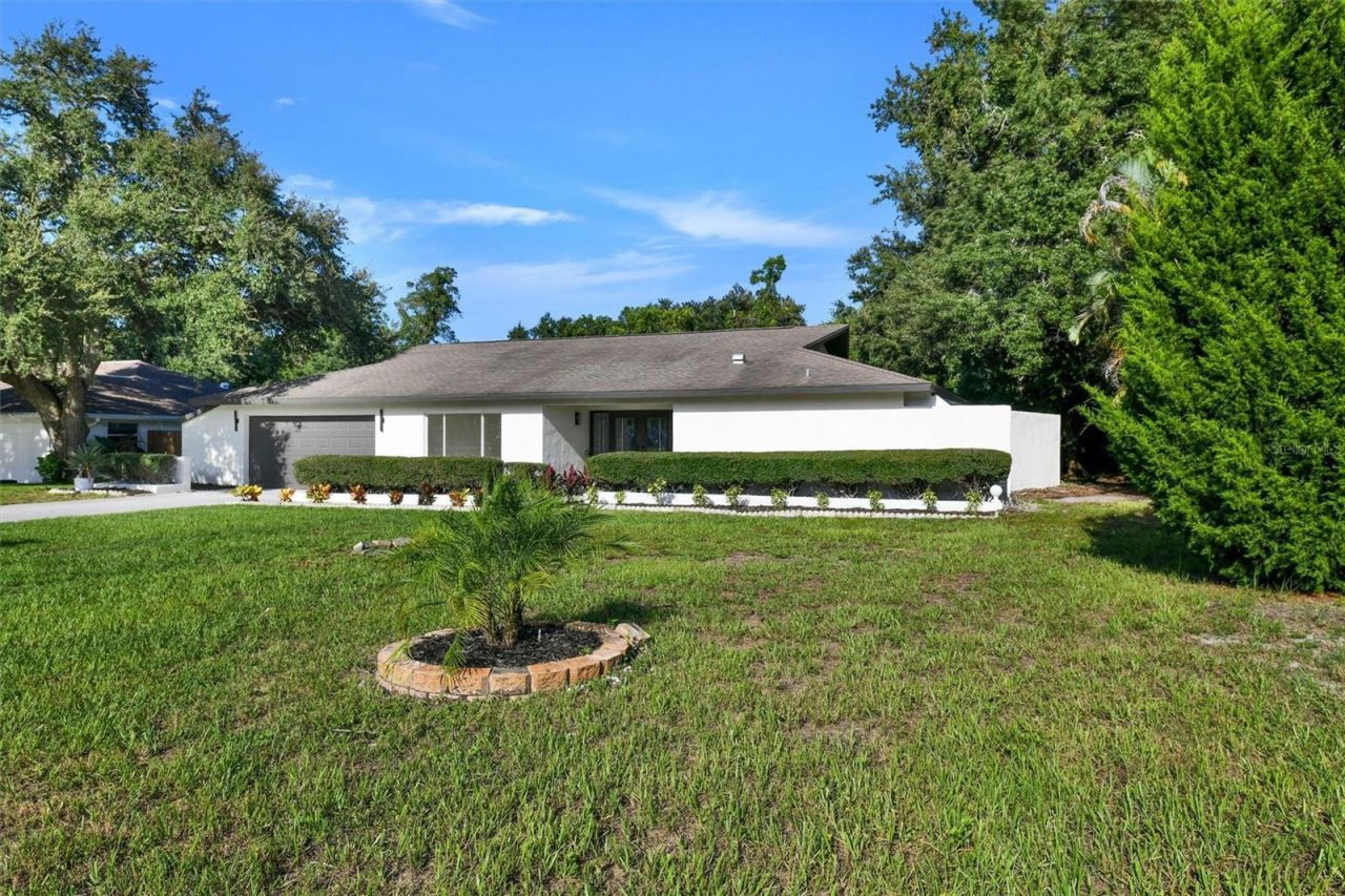 207 Dunbridge Drive , Palm Harbor, FL 34684 Photo