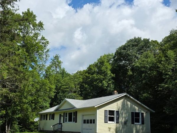 187 Franskevicz Road , Hancock, NY 13783