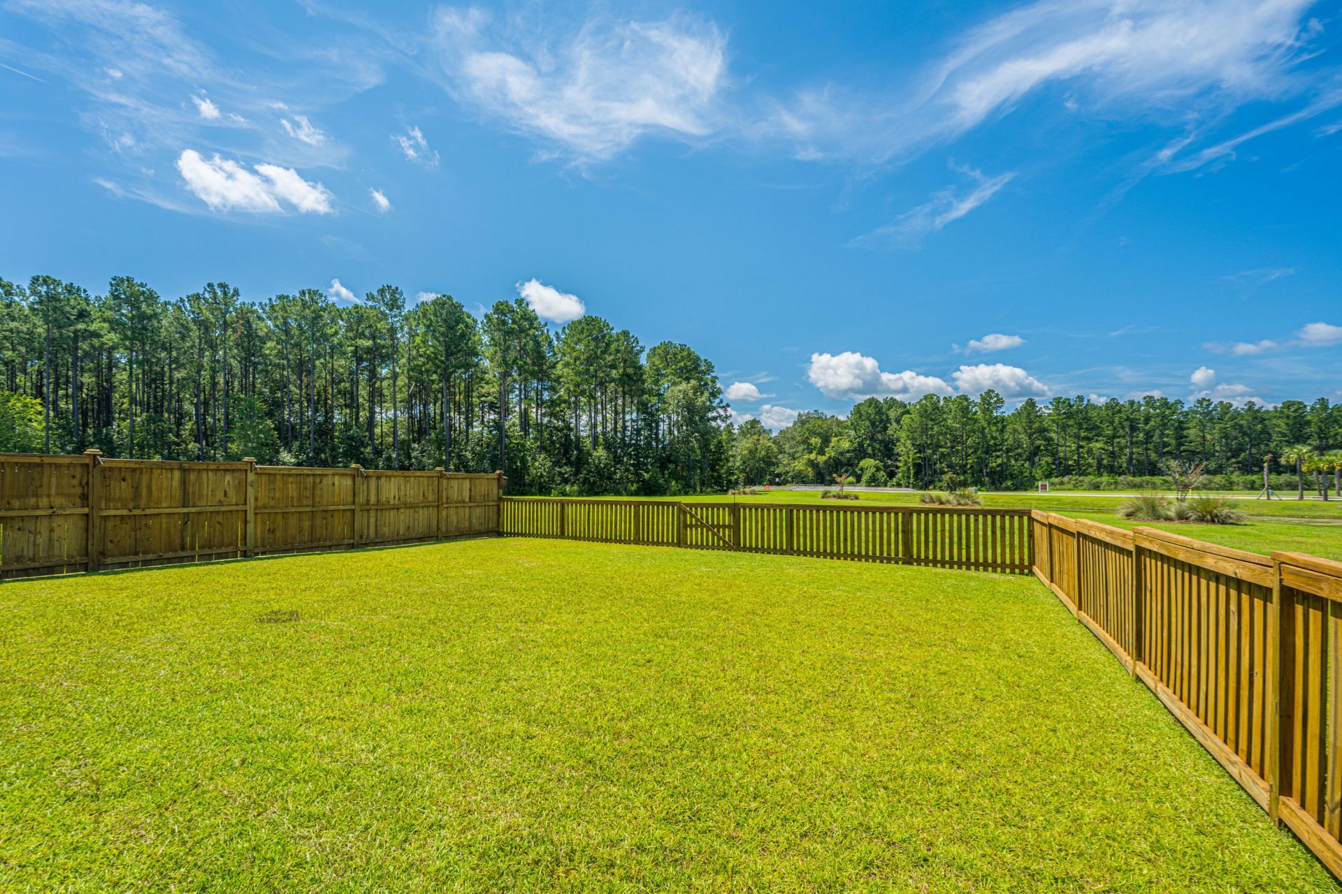 267 Woodland Oak Way Photo 19