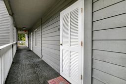 2204 Cypress Pointe Lane photo 4