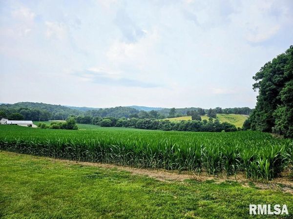 TBD Berryville Road, Jonesboro, IL 62952