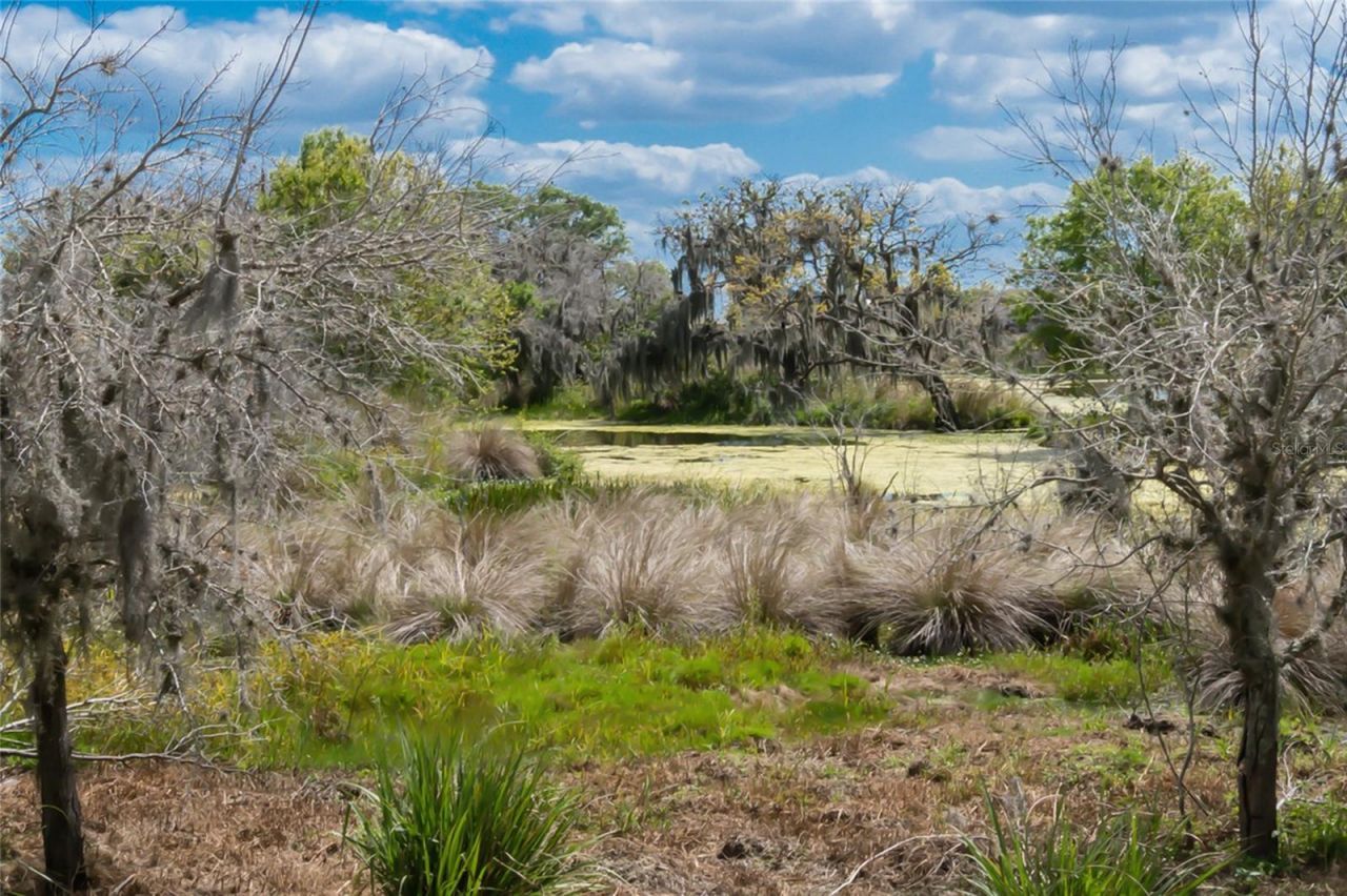 5002 Boston Common Glen, Bradenton, FL 34211 Photo